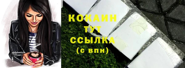 гашик Магадан