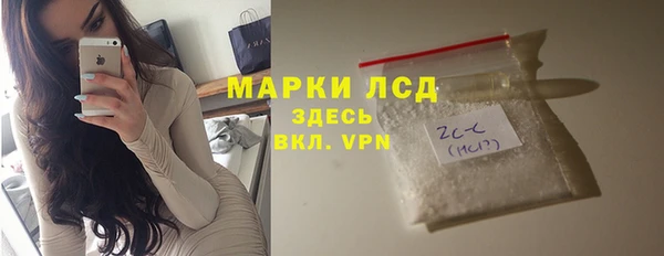 стаф Алзамай