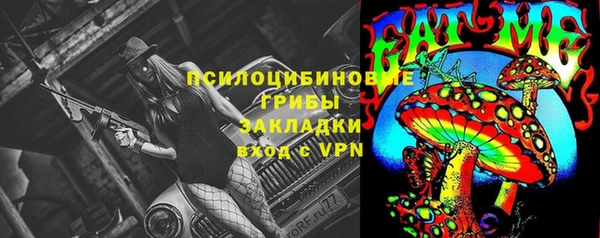 стаф Алзамай