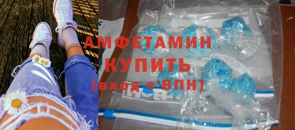 стаф Алзамай