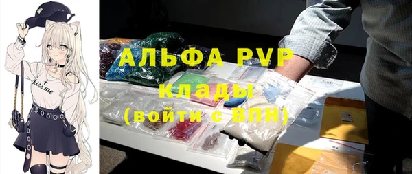 дмт Абаза