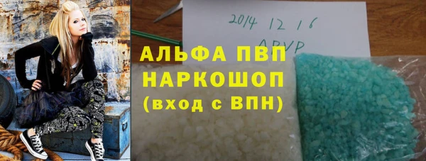 стаф Алзамай