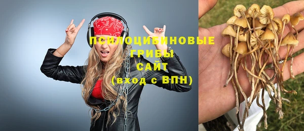 ГАЛЛЮЦИНОГЕННЫЕ ГРИБЫ Алексин