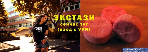 стаф Алзамай